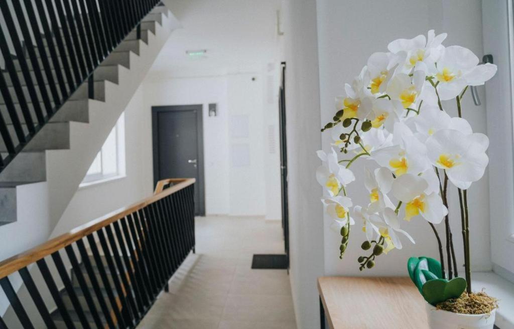 Charlotte Piata Unirii - Free Private Parking 2Bedrooms Apartment Oradea Bagian luar foto